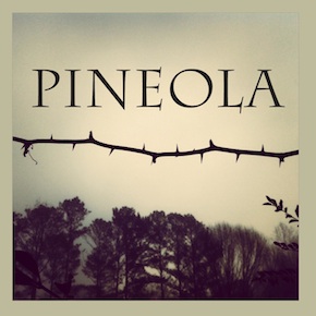 Pineola Cover